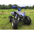 110cc спорта ATV с полной автоматической Gears для детей